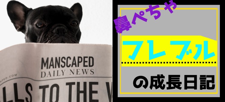 cook 今日なに作ろ？